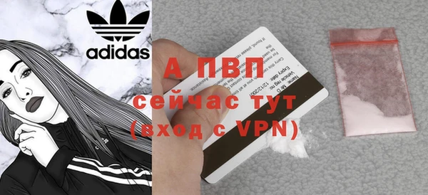 стаф Абаза