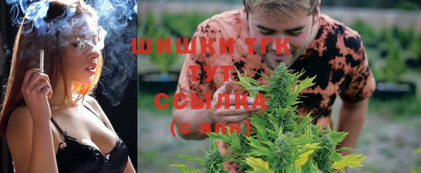 стаф Абаза