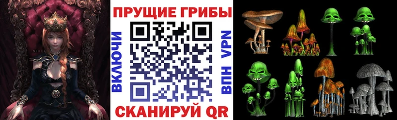 даркнет сайт  Знаменск  Псилоцибиновые грибы Psilocybine cubensis 